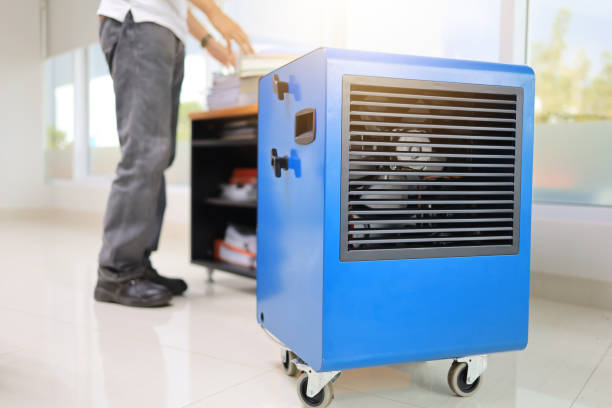 Professional Mold Removal in Berea, KY
