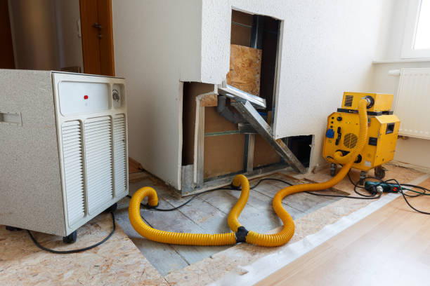 Best Mold Removal for HVAC Installations  in Berea, KY